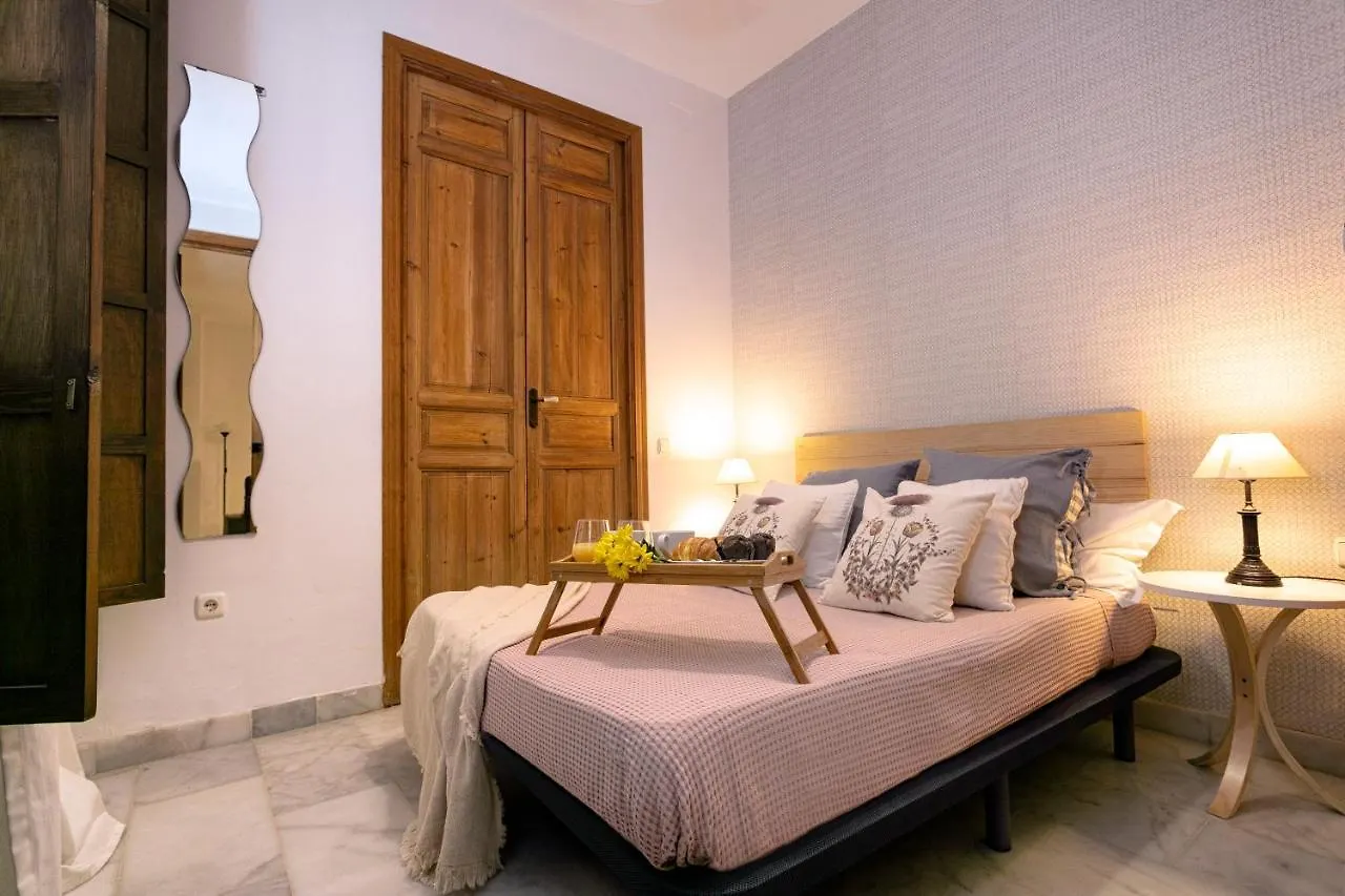 -Malagasunapts- Premium Historical Citycentre Apartment
